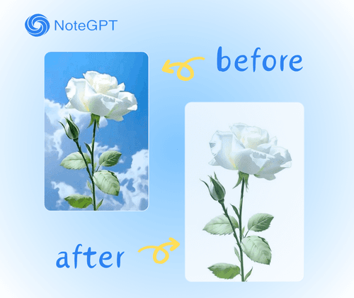 Why use AI Background Remover