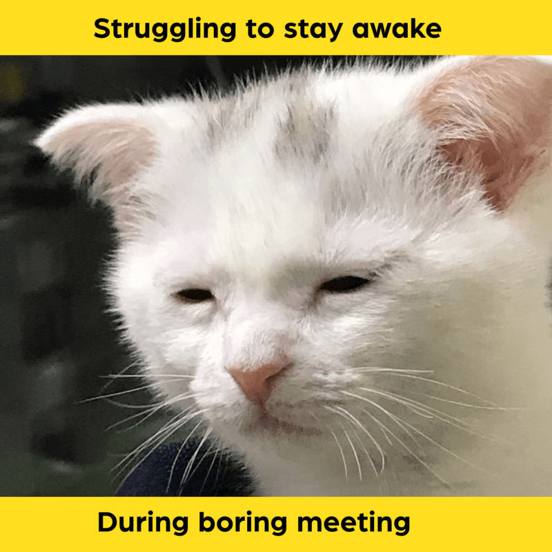 The universal struggle of fighting to stay awake during an endless, mind-numbing meeting while pretending to take notes