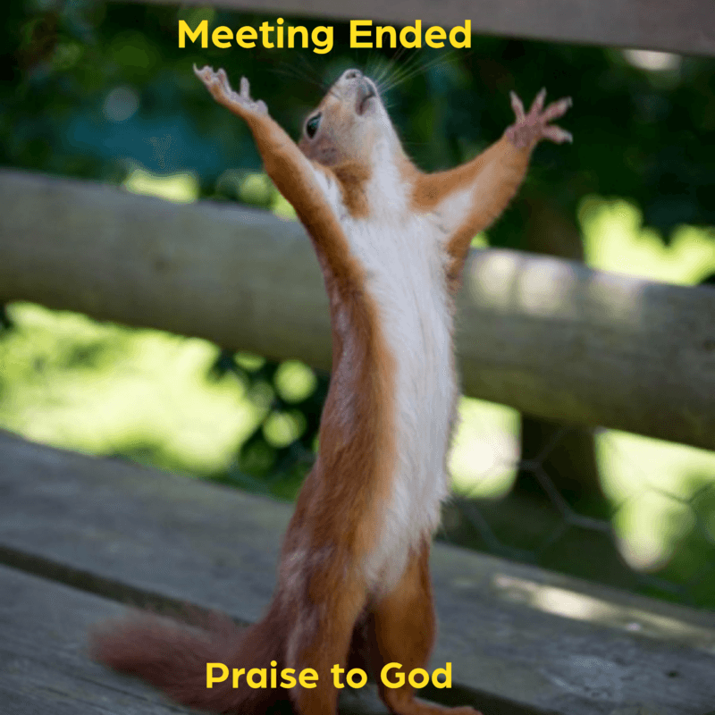 The pure joy and relief when someone finally says 'meeting adjourned' and you can stop the note-taking charade